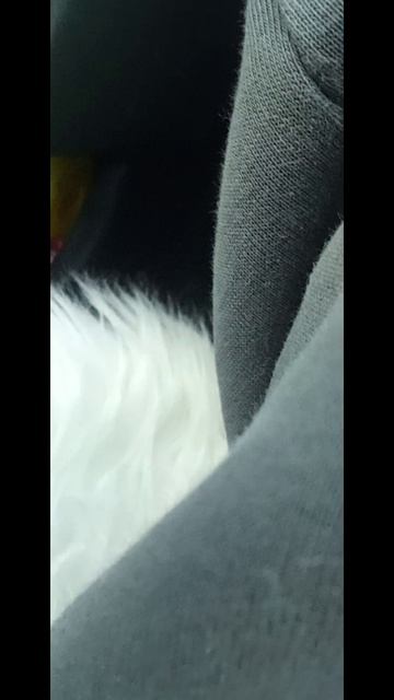 1000012094.mp4
