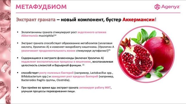 Метофудбиом с гранатом