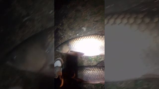 1000093125.mp4