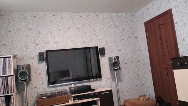 video_2025-05-24_20-31-37