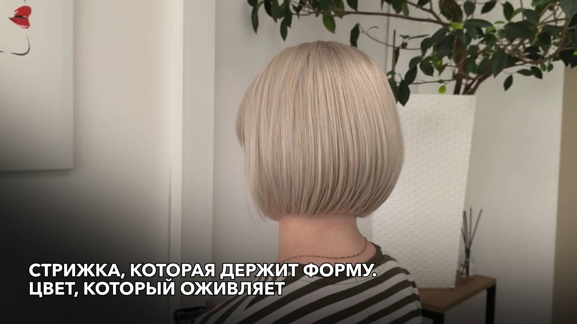 Стрижка, которая держит форму. Цвет, который оживляет