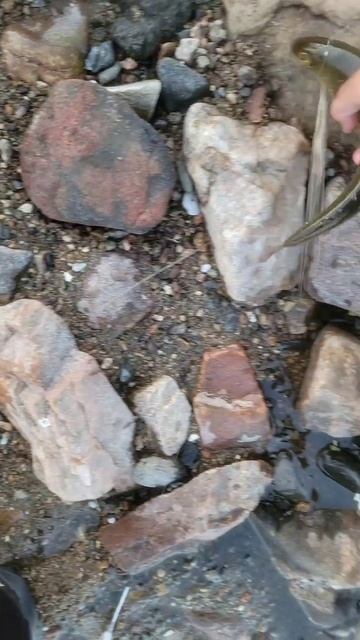 Вечерняя рыбалка на бомбарду