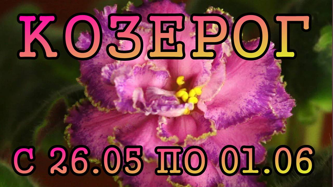 КОЗЕРОГ таро прогноз на неделю с 26 МАЯ по 1 ИЮНЯ 2025 года.
