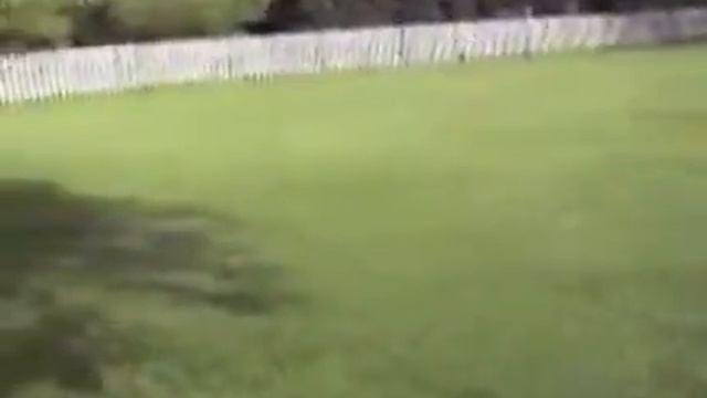бабушка и мото