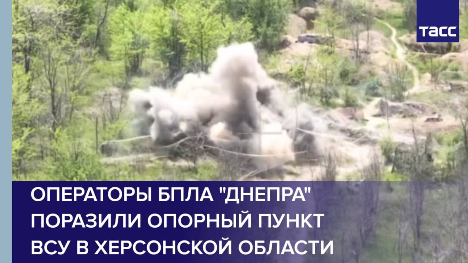 БПЛА поразили опорный пункт ВСУ в Херсонской области