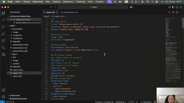 Имитационное моделирование: Лабораторная работа 16. Отчет