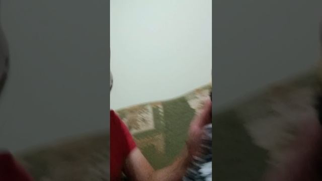 я провша