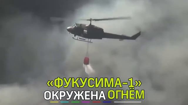 Вокруг АЭС Фукусима 1 пожар в радиоактивном лесу.