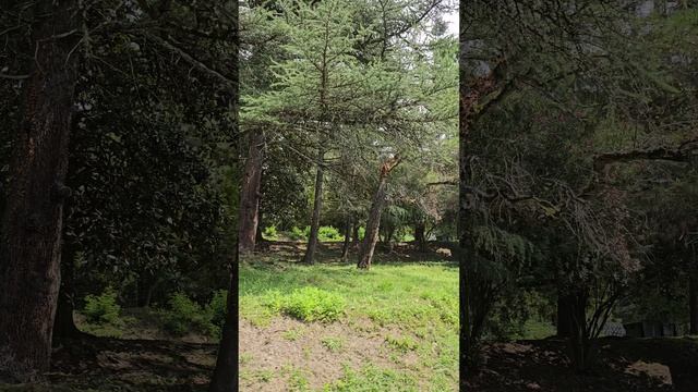 По дорогам Абхазии