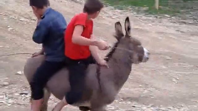 Горный вездеход 4х4