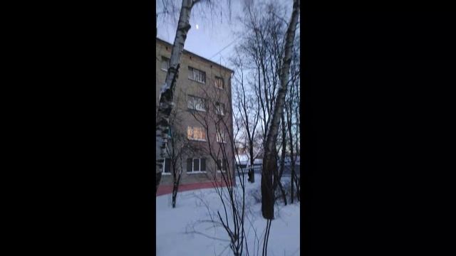19.01.2014 Вечер. Есть ли у деревьев душа?
