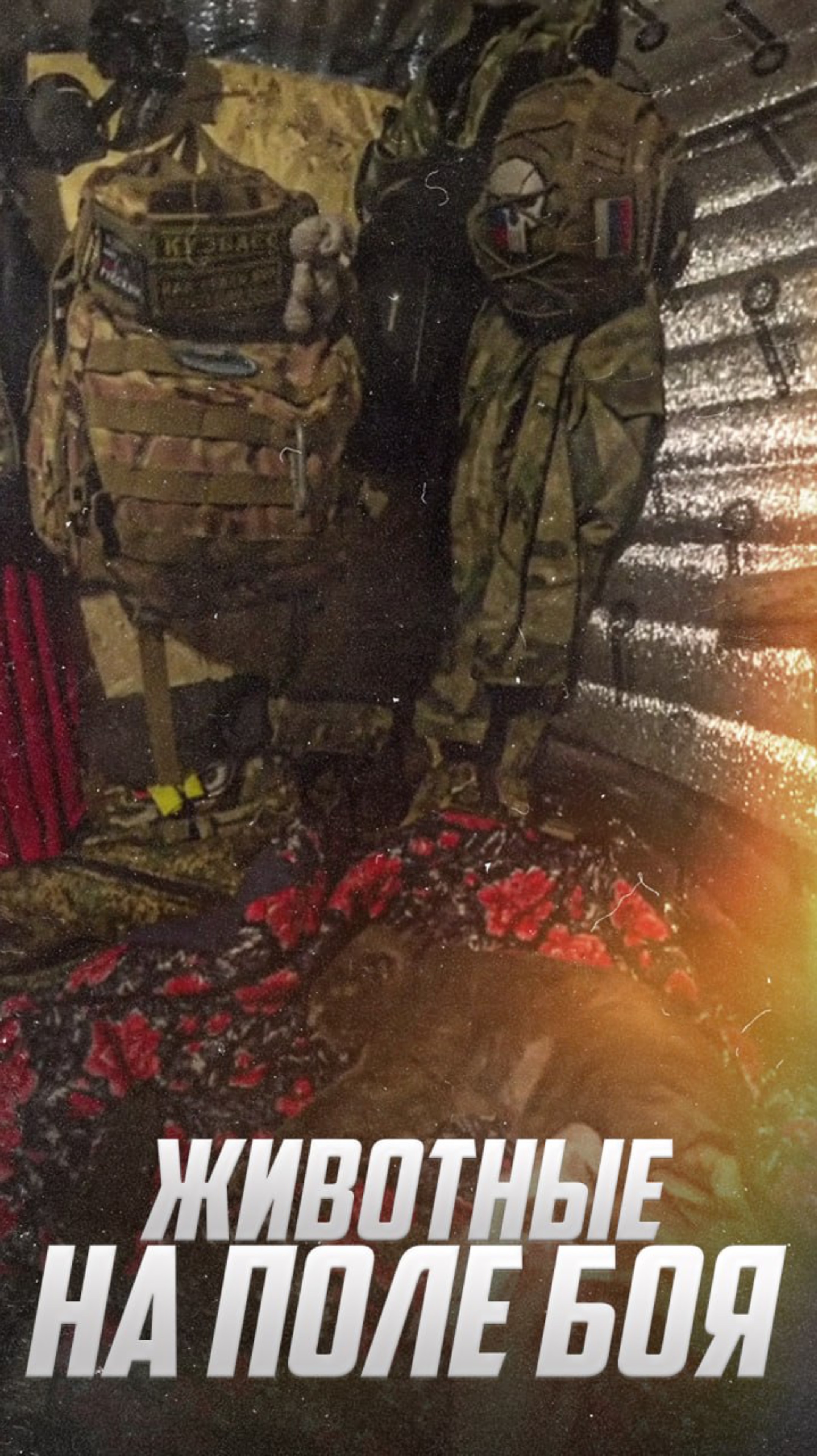 Боец ухаживает за питомцем: Большое сердце на поле боя