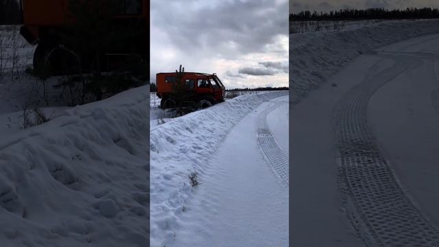 Вездеход Лесник