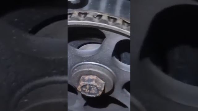 Веста чудо из чудовищь😂😂