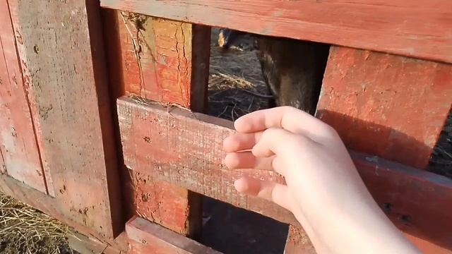 маленькое путешествие