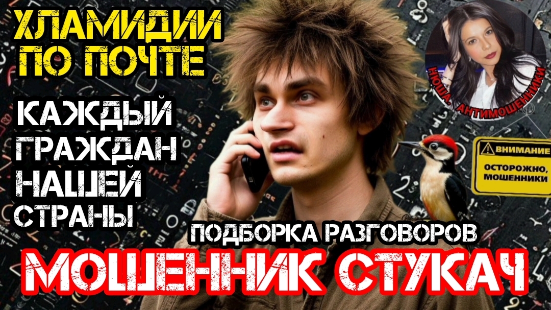 Мошенник стукач и другие приключения в инвестициях / Нюша/ Антимошенники