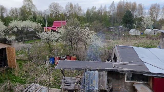 1000006167.mp4