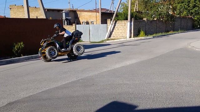 Мария Ржевская — Когда я стану кошкой (vxlkxv). Wild track X 200 Pr