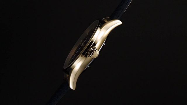 Механические наручные часы Carl von Zeyten CVZ0076GBLS