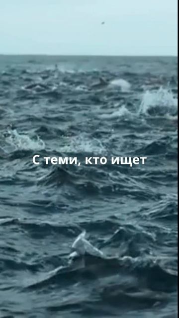 Мудрость Омара Хайама!