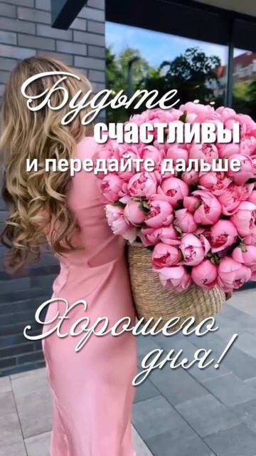 Хорошего дня