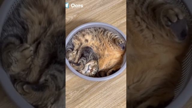 Что бы отдохнуть - надо расслабиться.. 🤣