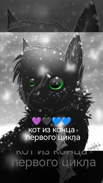 Коты воители. #интерактивпокв