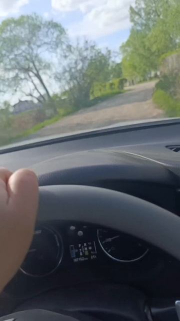 настроение дня