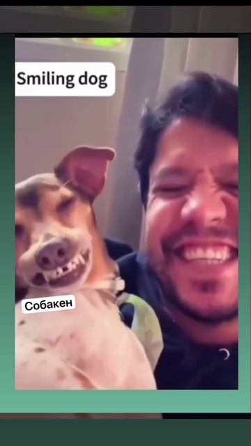 VID_20250524_235316_158.mp4