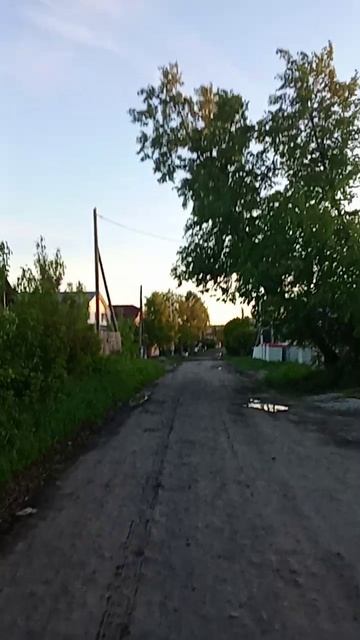 Жизнь