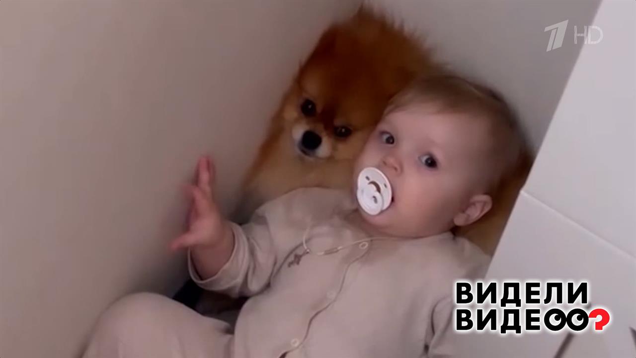 Шпиц Доминика. Видели видео? Фрагмент выпуска от 25.05.2025