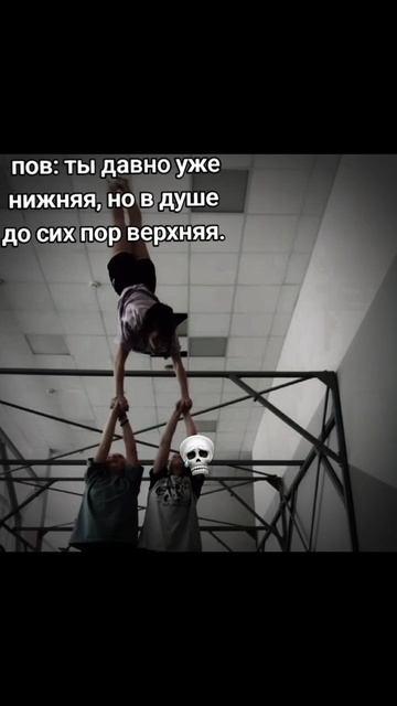 AKRO_ALICA