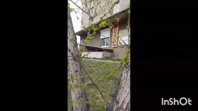1000031033.mp4