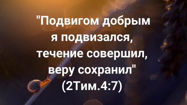 "Прежде страдания моего я заблуждался; а ныне слово Твое храню" (Пс.118:67)