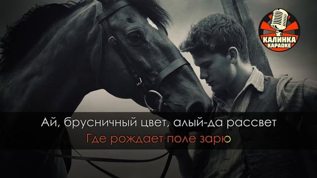 ЛЮБЭ - Конь (Караоке), караоке конь, караоке песня выйду ночью в поле с конем, караоке Любэ