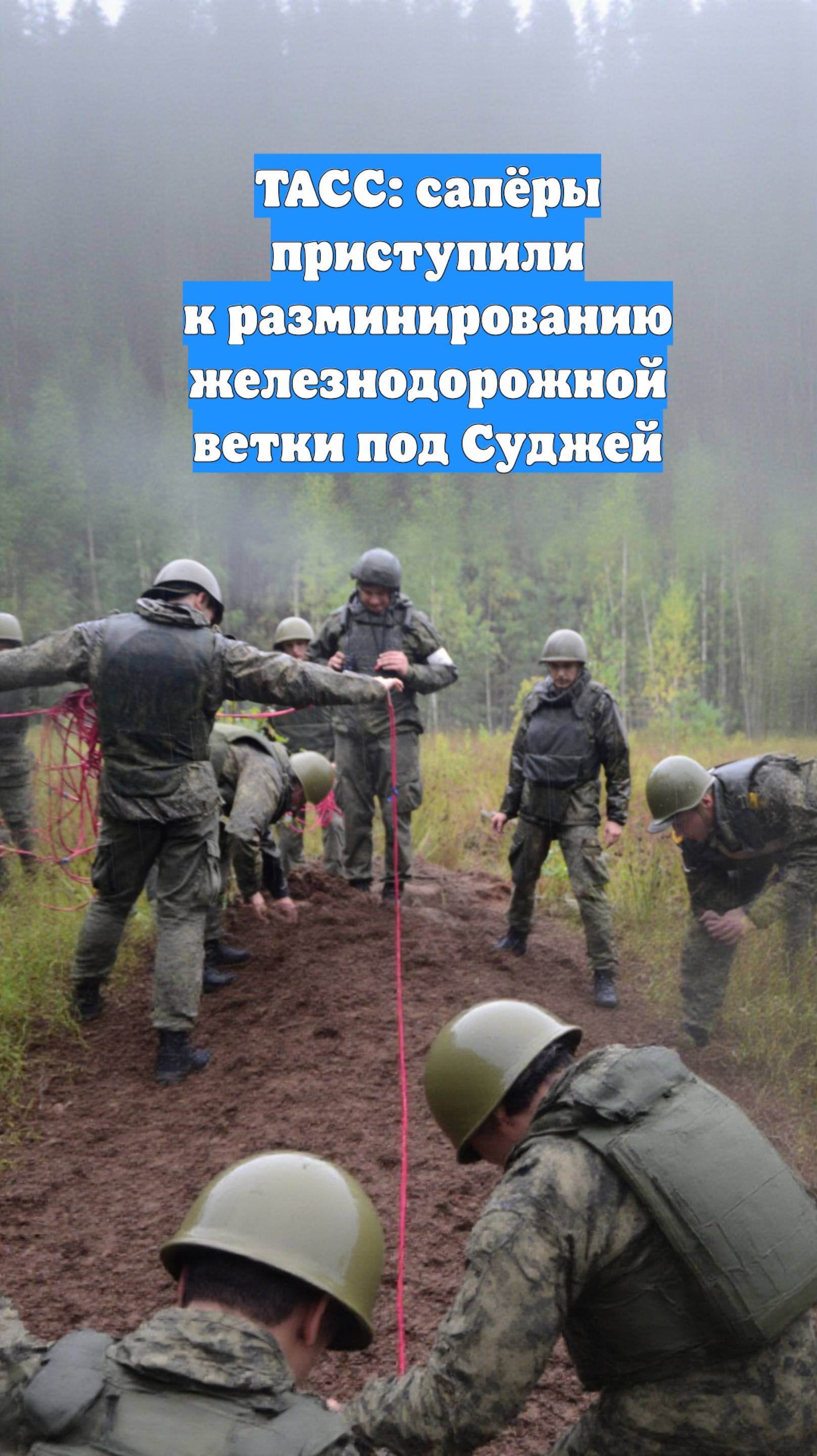 ТАСС: сапёры приступили к разминированию железнодорожной ветки под Суджей