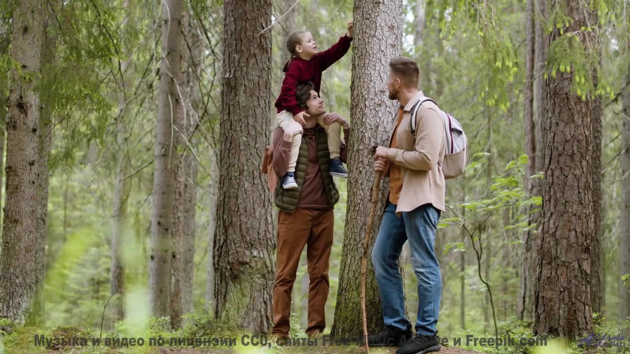 Сердце танцует, а разум отдыхает при этом клипе - Blossom -- Ketsa -- The Calling