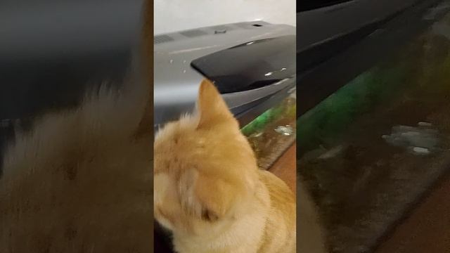 1000024328.mp4