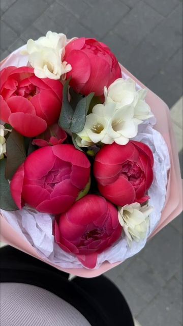 Цветы мира в калининграде