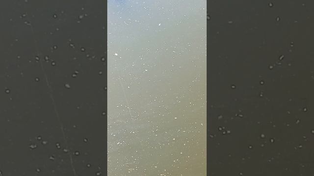 1000013543.mp4
