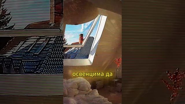 Ксения Буглак (589)