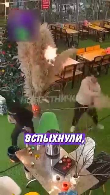 Новостничок (669)