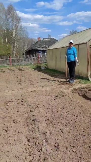 Она решила найти....