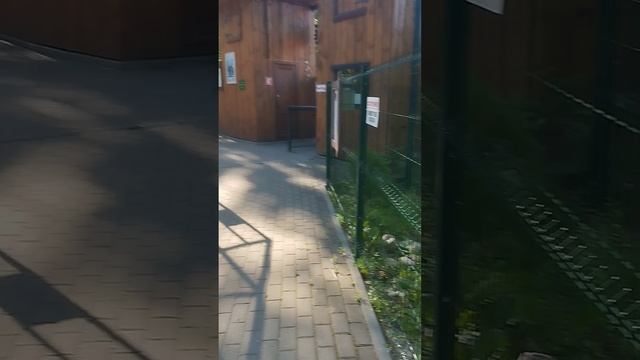 зоопарк в балахна