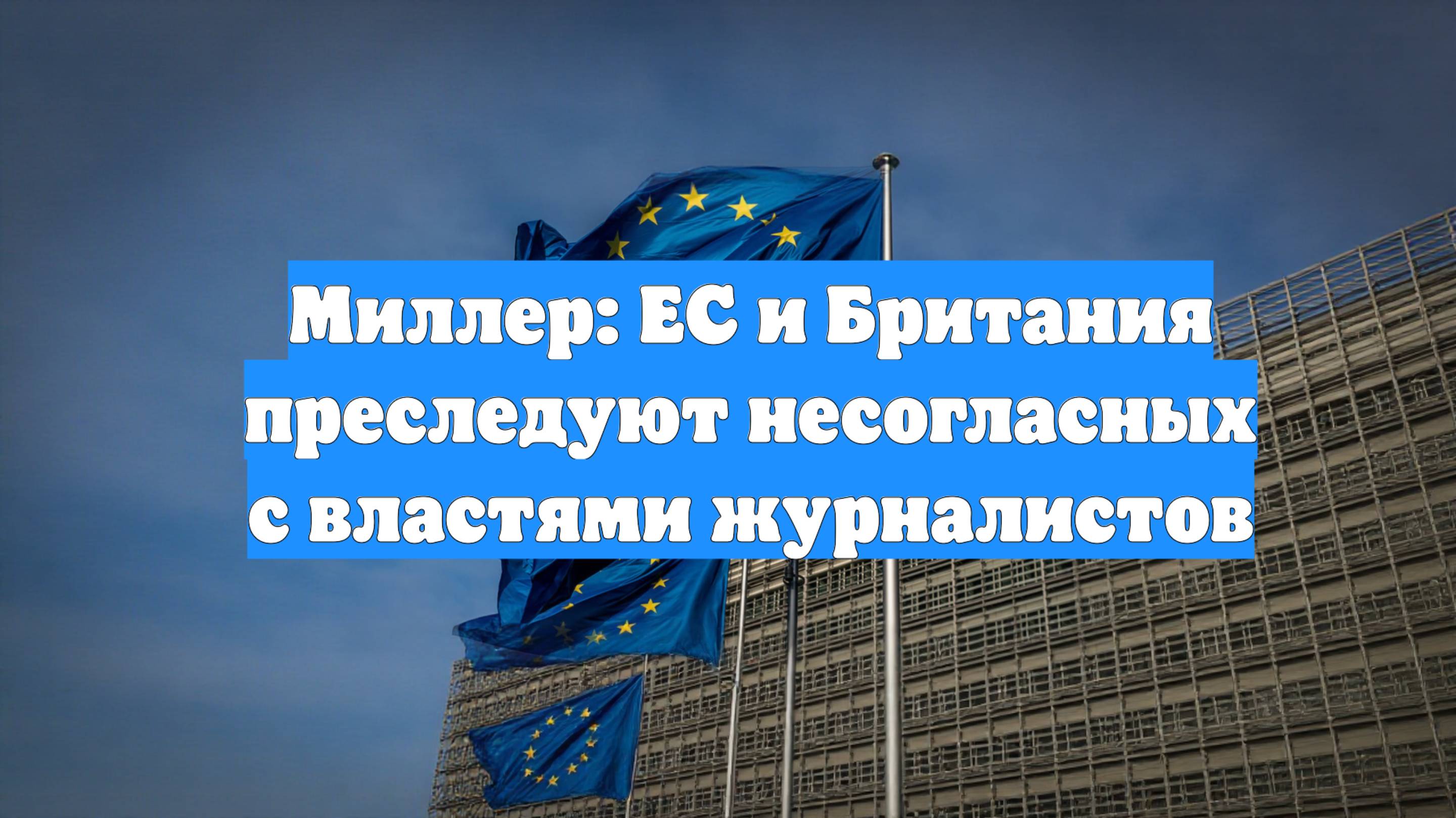 Миллер: ЕС и Британия преследуют несогласных с властями журналистов