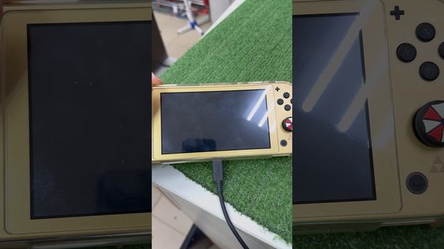 Switch lite