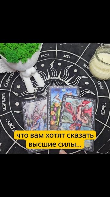 scene_output.mp4