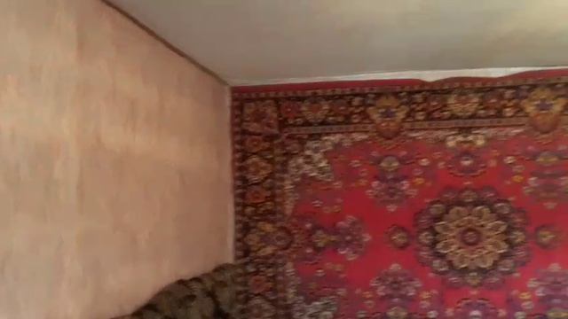 VID-20250525-WA0007