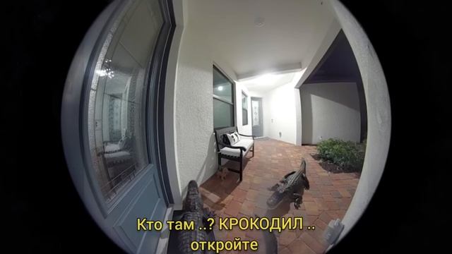 ЗВОНОК В ДВЕРЬ - КРОКОДИЛ  ЗАШЁЛ НА ОГОНЁК