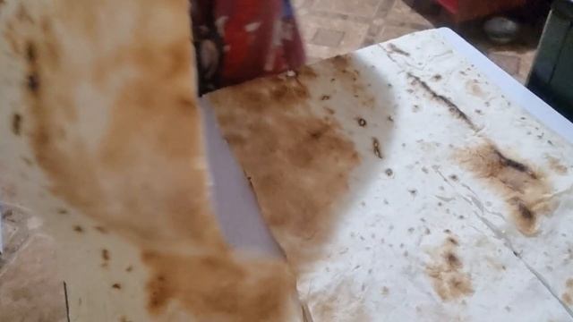 Жарю  ленивые  чебуреки, а Коля подкармливает рассаду.